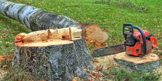 Best Tree Mulching  in Milan, TN