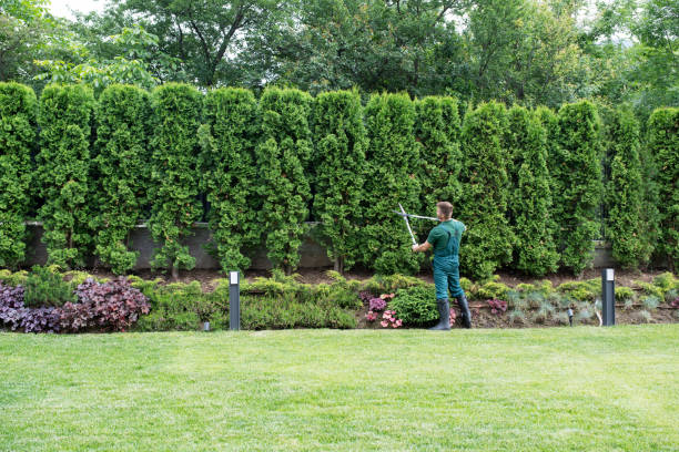 Best Storm Damage Tree Cleanup  in Milan, TN