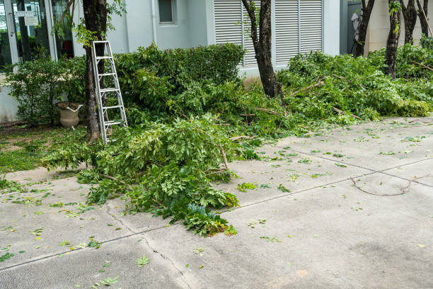 Best Tree Preservation Services  in Milan, TN